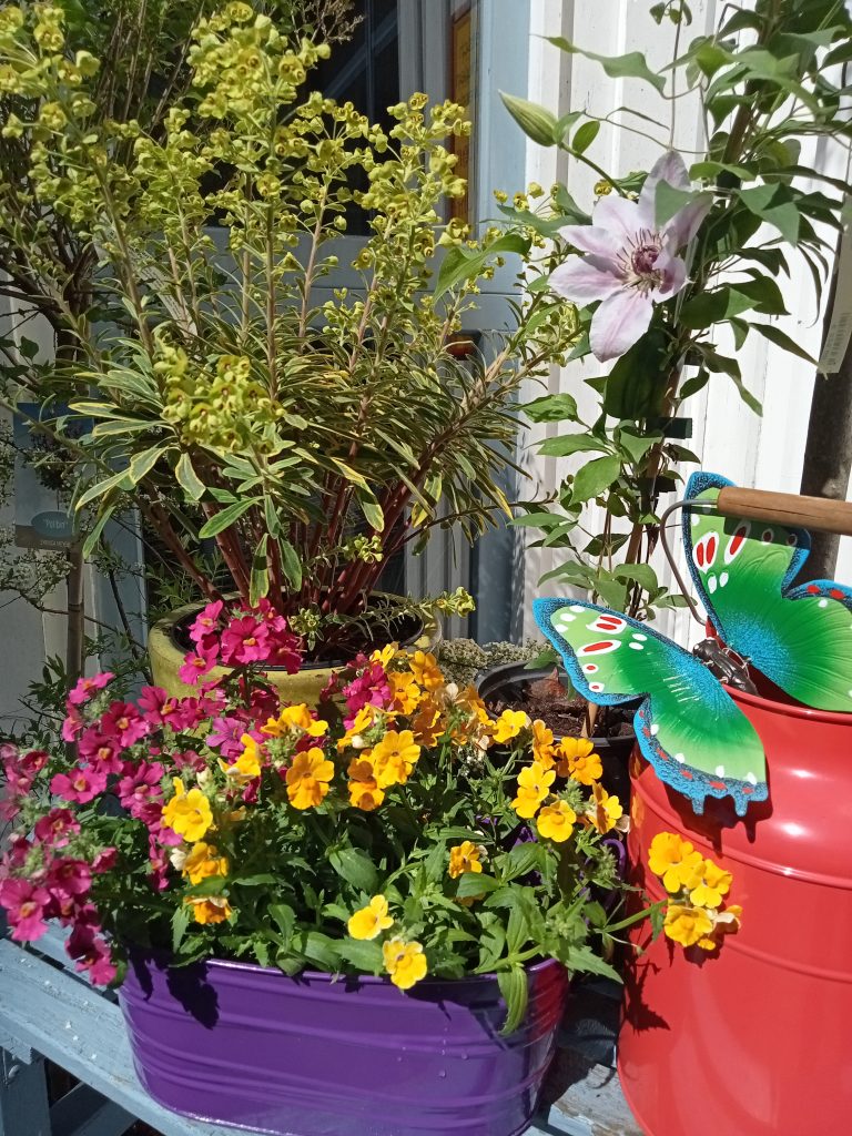 Jetzt vormerken! 25. April - Start in die Beet und Balkonsaison